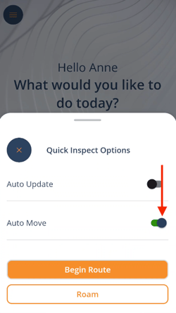 Quick Inspect Auto Move
