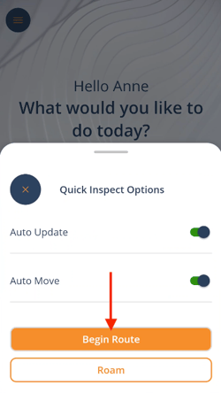 Quick Inspect Begin Route