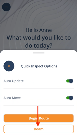 Quick Inspect Roam