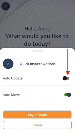 Quick Inspect Auto Update